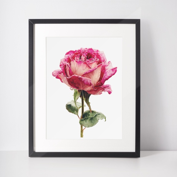 Watercolor Single Pink Rose Wall Art Print, Unframed - Delicate Floral Elegance - Picture 3 of 6